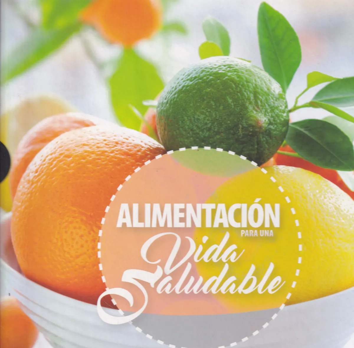 ALIMENTACION PARA UNA VIDA SALUDABLE